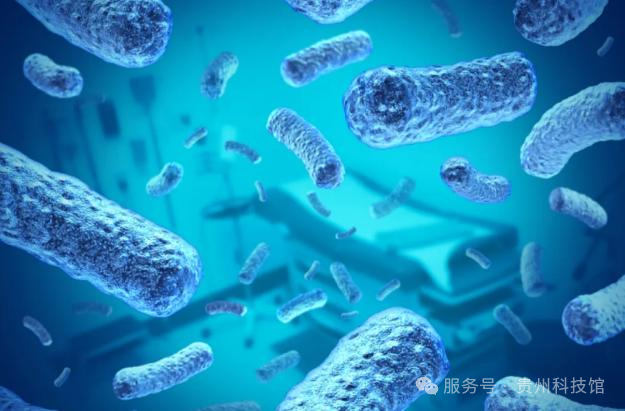 元旦邀您一起“寻找生活中的微生物”——贵州科普大讲堂线下特别活动